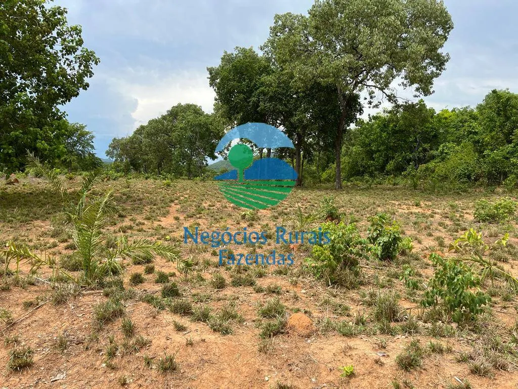 Fazenda à venda de 1.403 ha em São Salvador do Tocantins, TO, Brasil