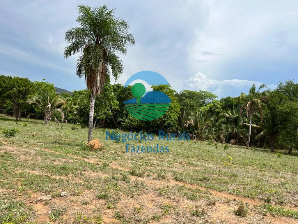 Fazenda à venda de 1.403 ha em São Salvador do Tocantins, TO, Brasil