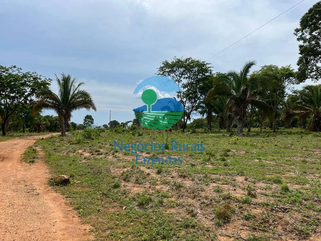Fazenda à venda de 1.403 ha em São Salvador do Tocantins, TO, Brasil