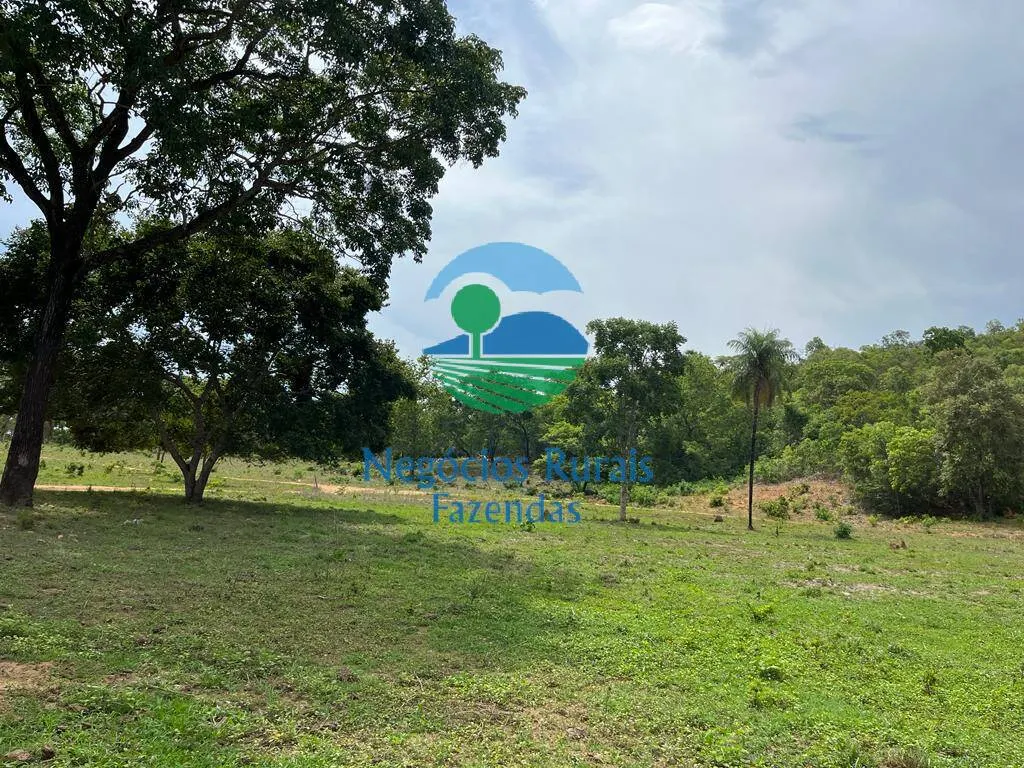 Fazenda à venda de 1.403 ha em São Salvador do Tocantins, TO, Brasil