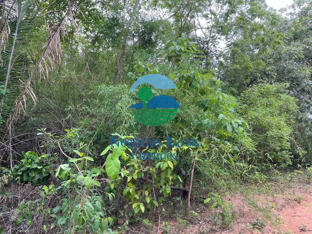 Fazenda à venda de 1.403 ha em São Salvador do Tocantins, TO, Brasil
