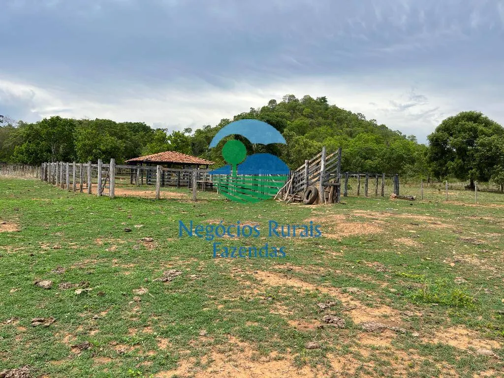 Fazenda à venda de 1.403 ha em São Salvador do Tocantins, TO, Brasil