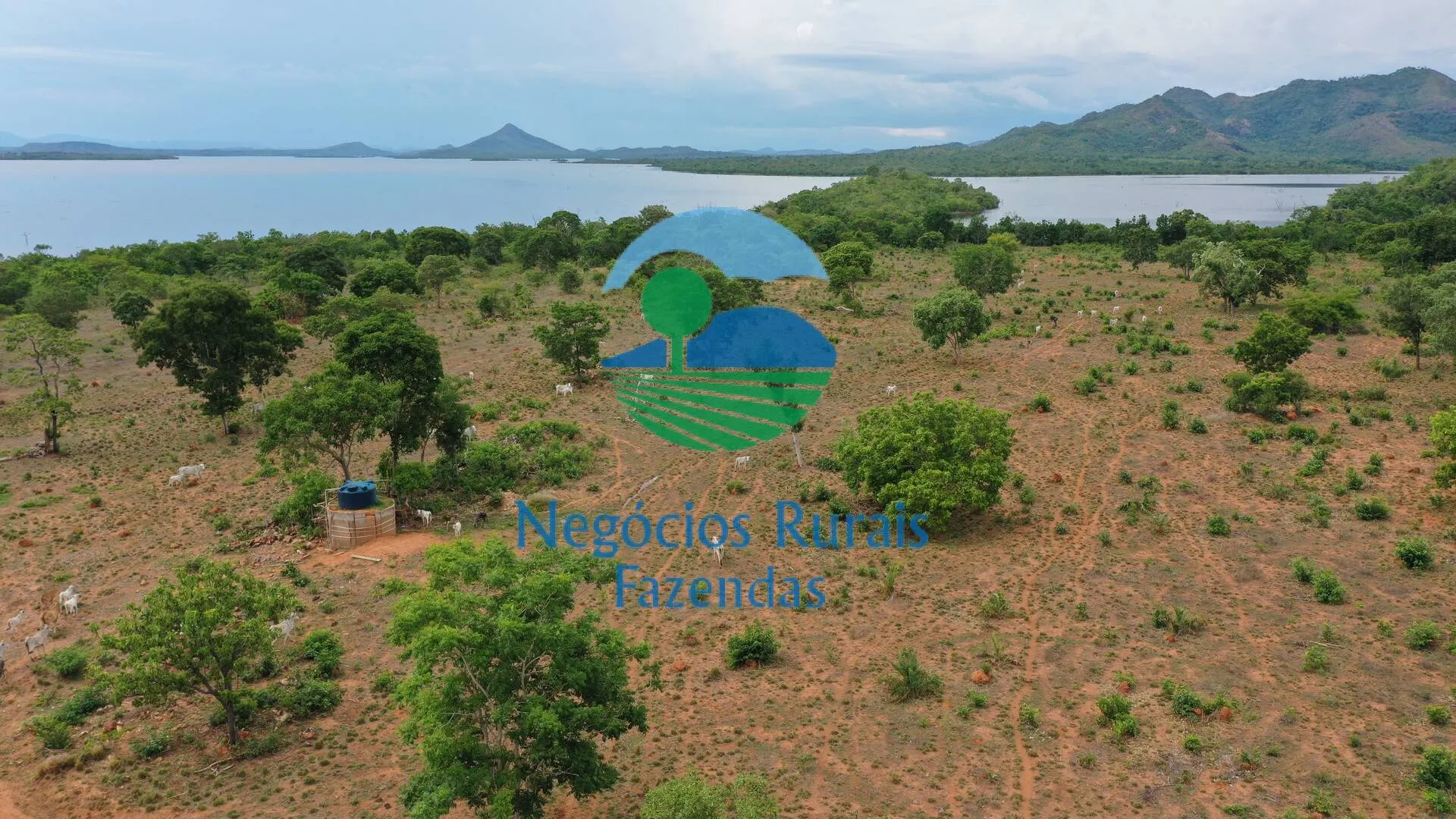 Fazenda à venda de 1.403 ha em São Salvador do Tocantins, TO, Brasil
