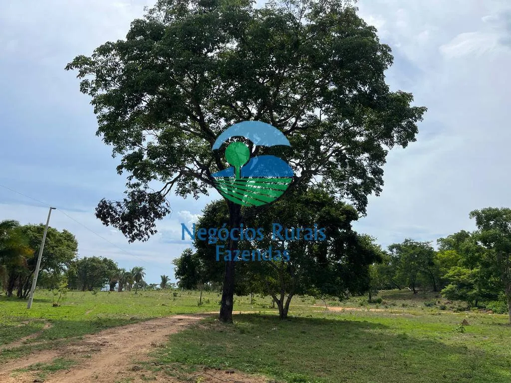 Fazenda à venda de 1.403 ha em São Salvador do Tocantins, TO, Brasil