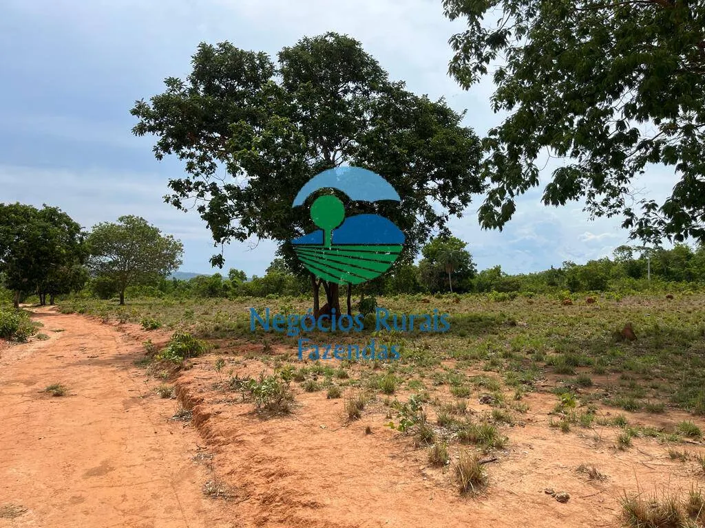 Fazenda à venda de 1.403 ha em São Salvador do Tocantins, TO, Brasil