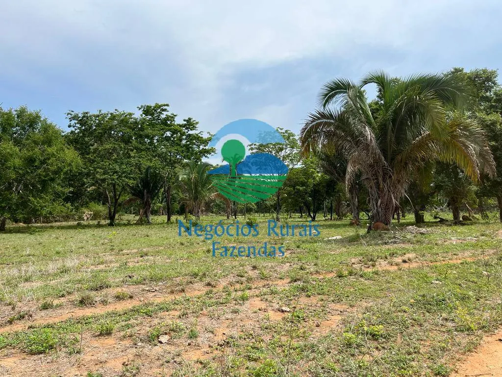 Fazenda à venda de 1.403 ha em São Salvador do Tocantins, TO, Brasil