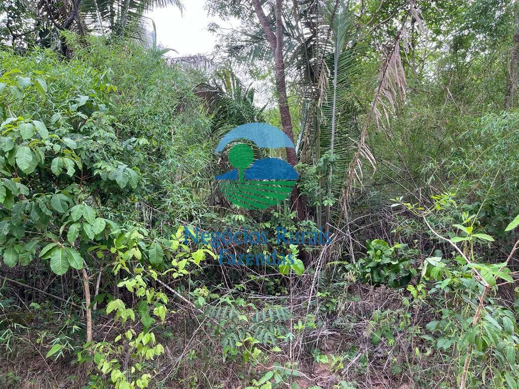 Fazenda à venda de 1.403 ha em São Salvador do Tocantins, TO, Brasil