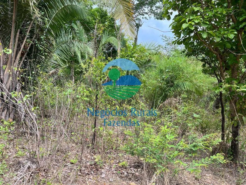 Fazenda à venda de 1.403 ha em São Salvador do Tocantins, TO, Brasil