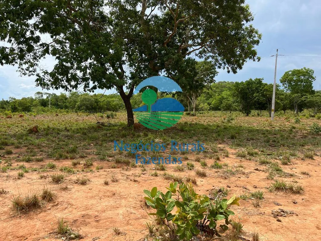 Fazenda à venda de 1.403 ha em São Salvador do Tocantins, TO, Brasil