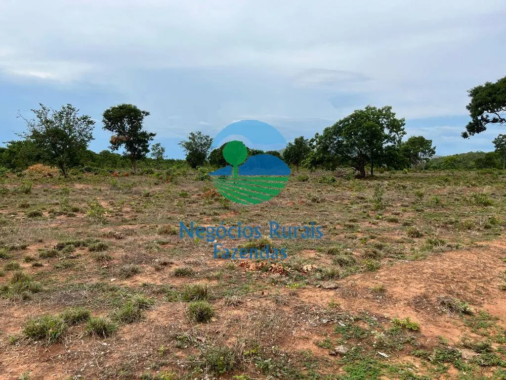 Fazenda à venda de 1.403 ha em São Salvador do Tocantins, TO, Brasil
