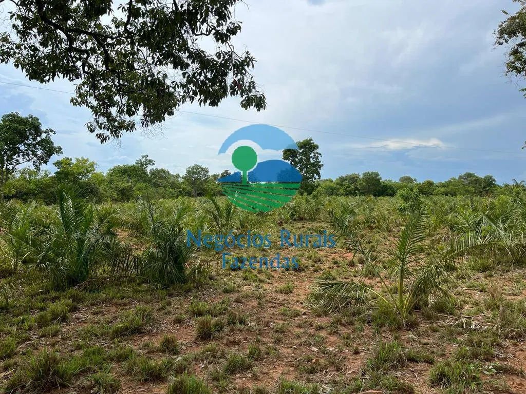 Fazenda à venda de 1.403 ha em São Salvador do Tocantins, TO, Brasil