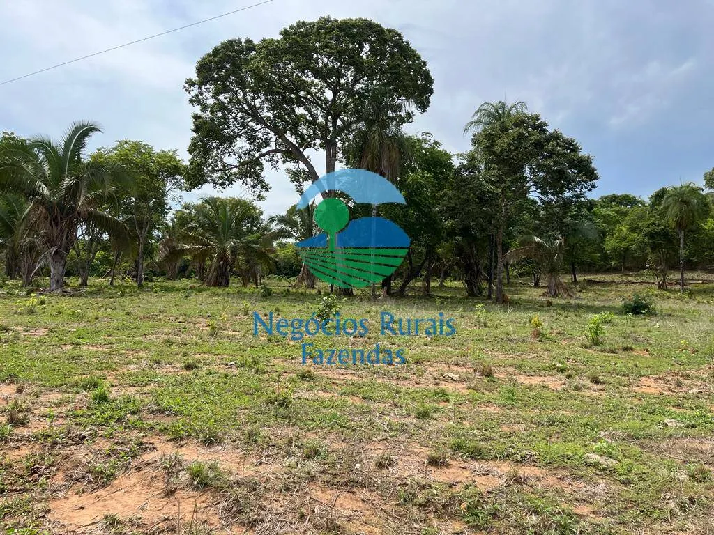 Fazenda à venda de 1.403 ha em São Salvador do Tocantins, TO, Brasil