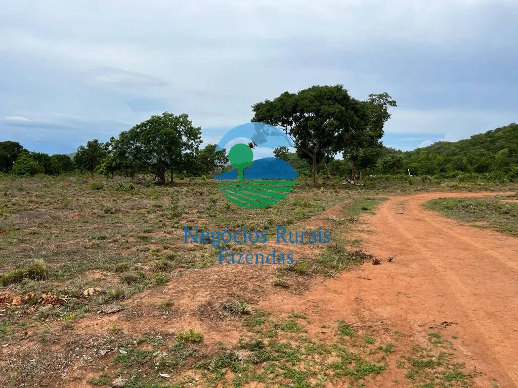 Fazenda à venda de 1.403 ha em São Salvador do Tocantins, TO, Brasil
