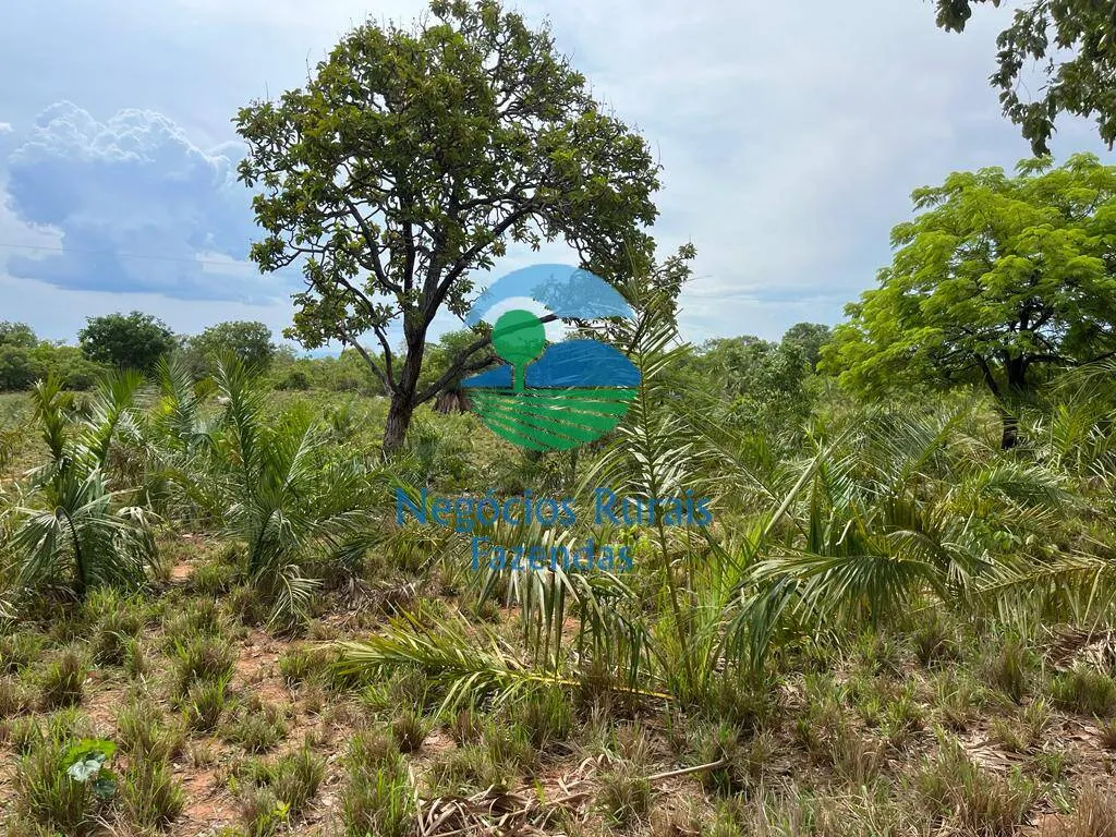 Fazenda à venda de 1.403 ha em São Salvador do Tocantins, TO, Brasil
