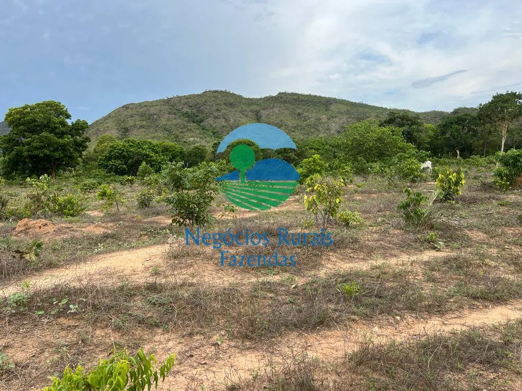 Fazenda à venda de 1.403 ha em São Salvador do Tocantins, TO, Brasil