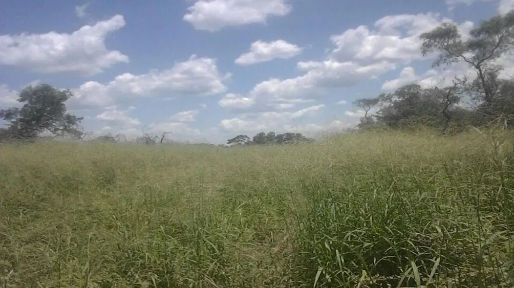 Fazenda à venda de 7.425 ha em Fortín Boquerón, Paraguai