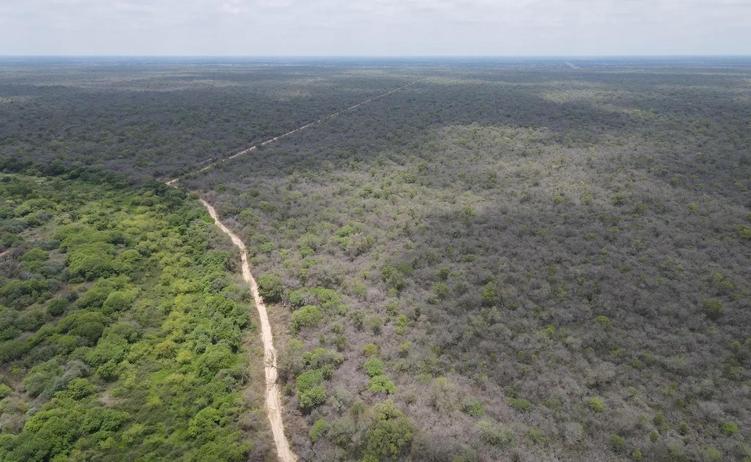 Fazenda à venda de 7.425 ha em Fortín Boquerón, Paraguai