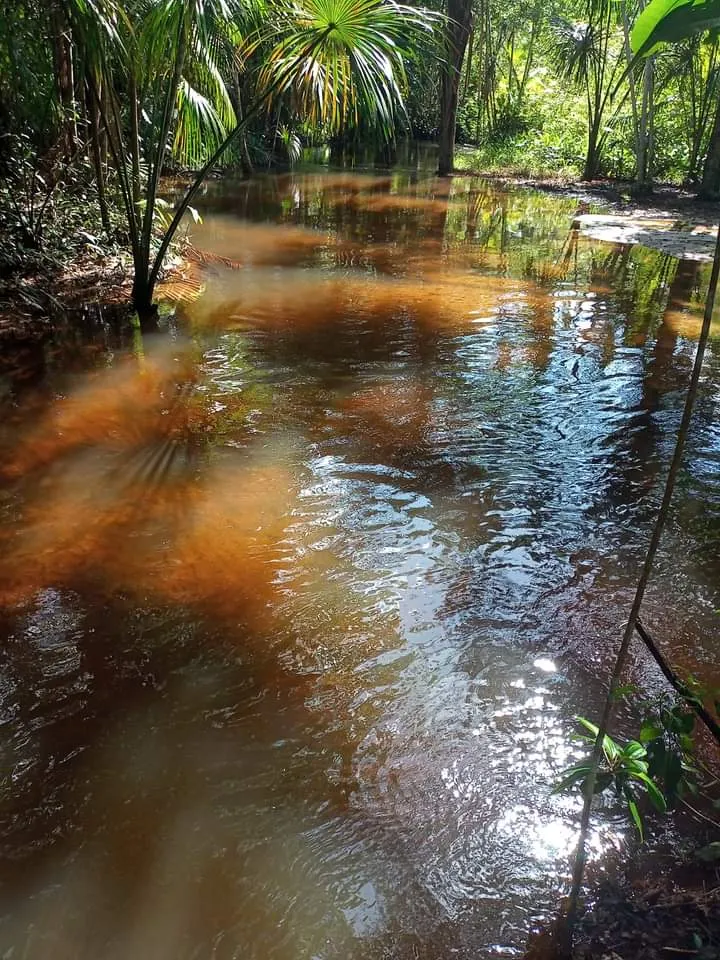 Sítio à venda de 14 ha em Vigia, PA, Brasil