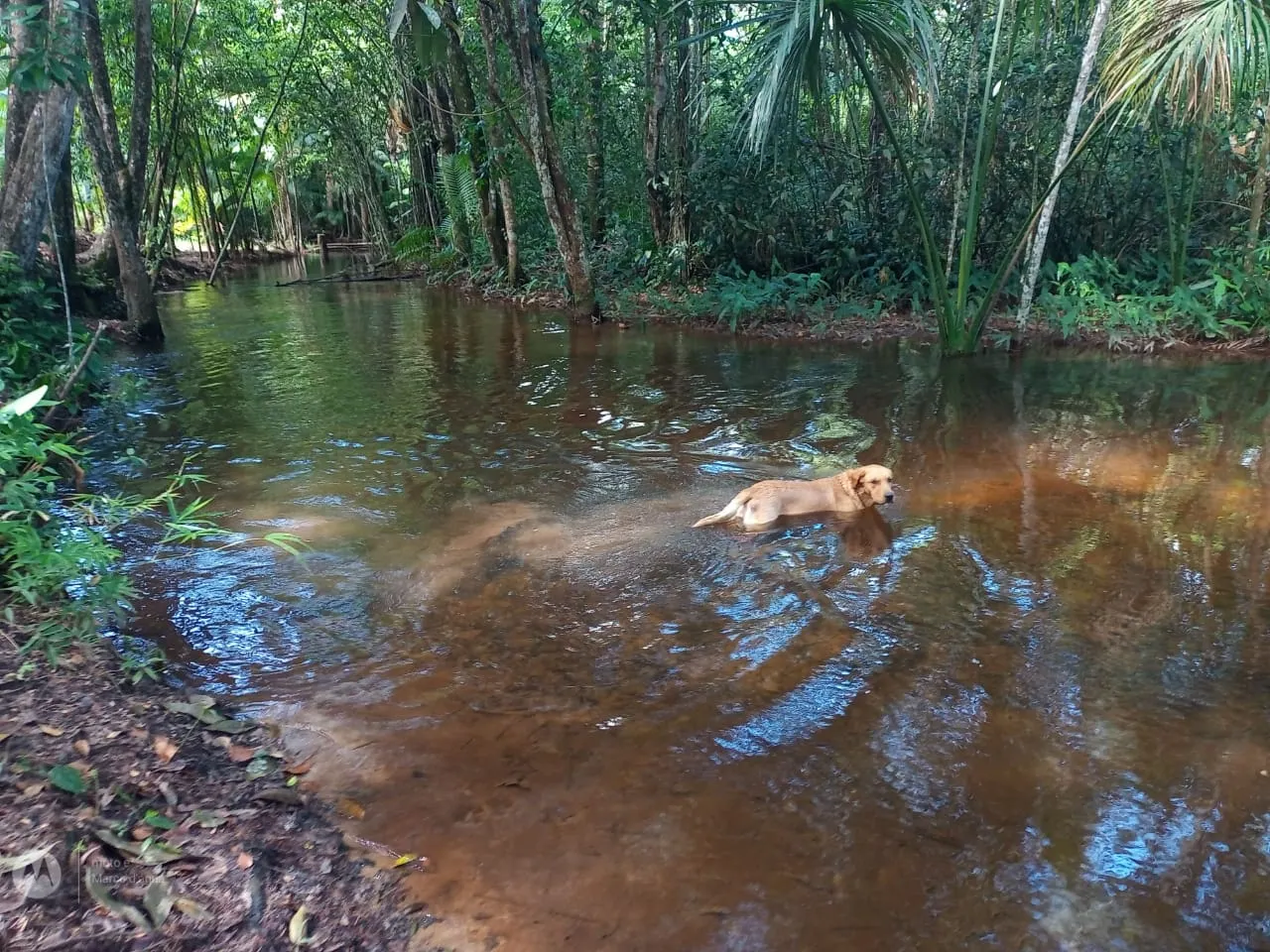 Sítio à venda de 14 ha em Vigia, PA, Brasil