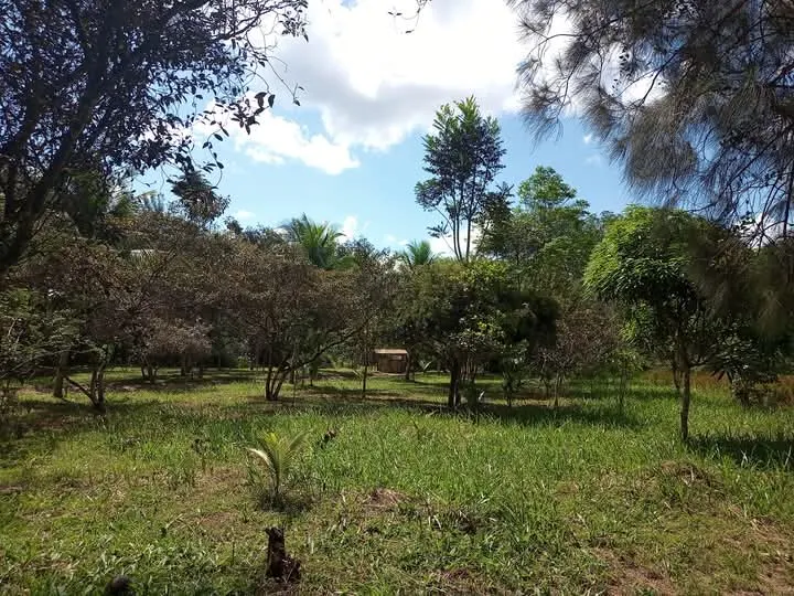 Sítio à venda de 14 ha em Vigia, PA, Brasil