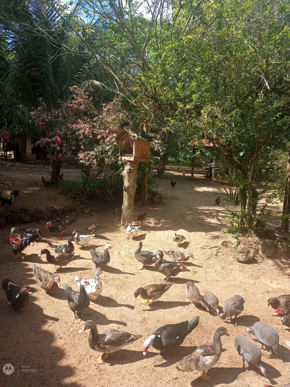 Sítio à venda de 14 ha em Vigia, PA, Brasil
