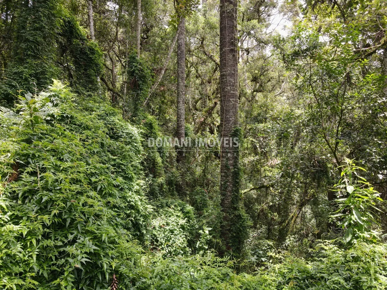 Plot for sale of 1,950 m² in Campos do Jordão, SP, Brazil