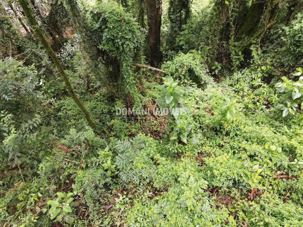Plot for sale of 1,950 m² in Campos do Jordão, SP, Brazil