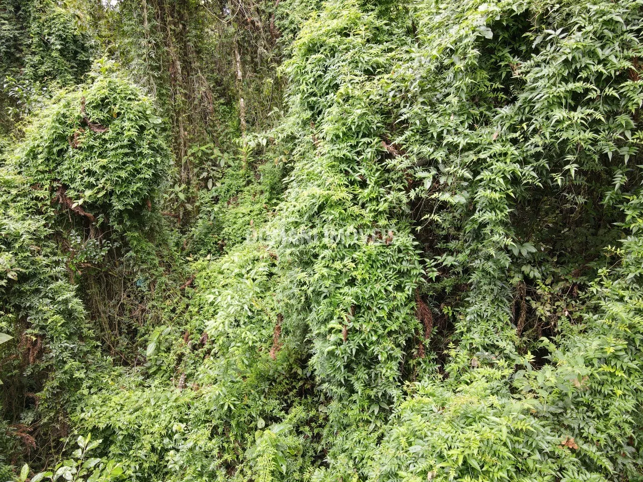 Plot for sale of 1,950 m² in Campos do Jordão, SP, Brazil
