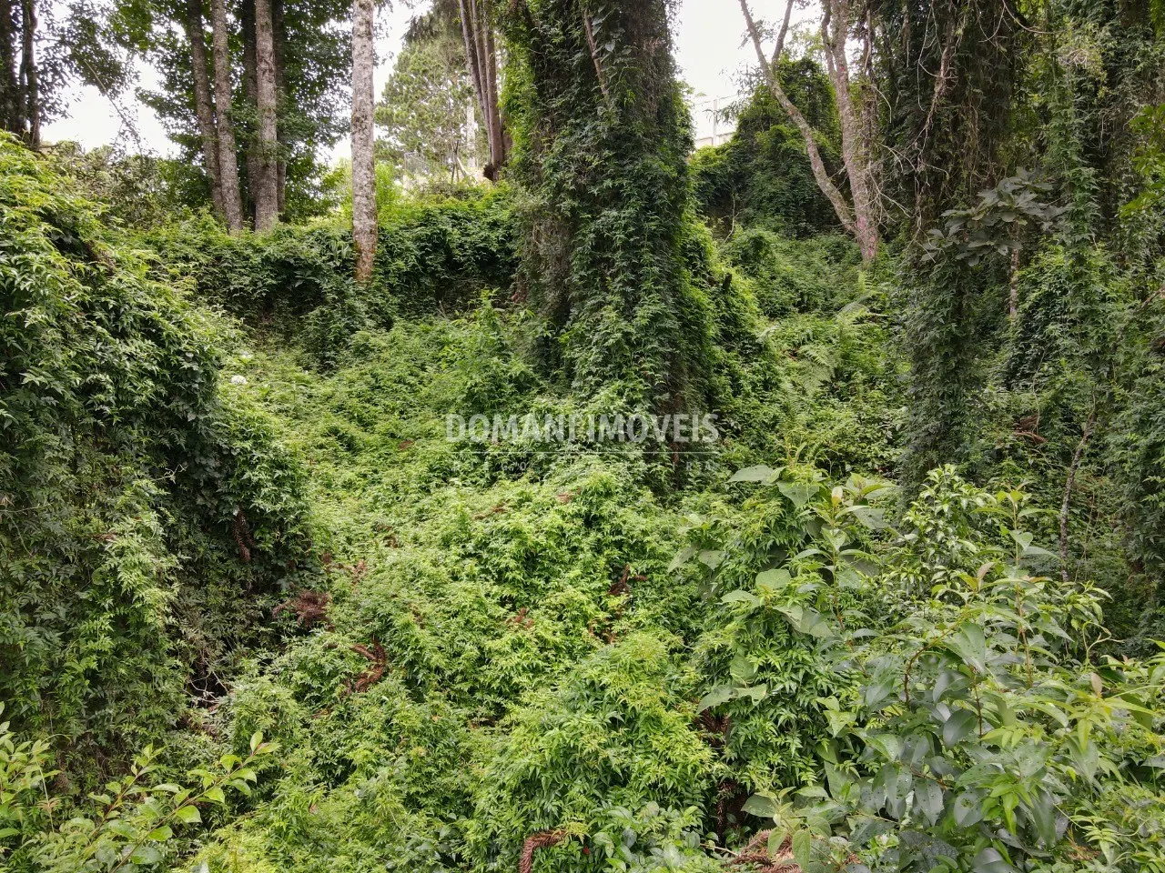 Plot for sale of 1,950 m² in Campos do Jordão, SP, Brazil