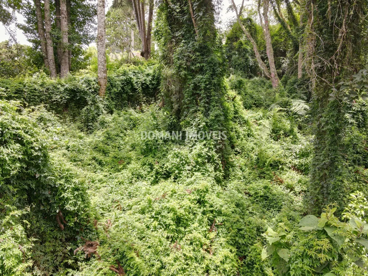 Plot for sale of 1,950 m² in Campos do Jordão, SP, Brazil