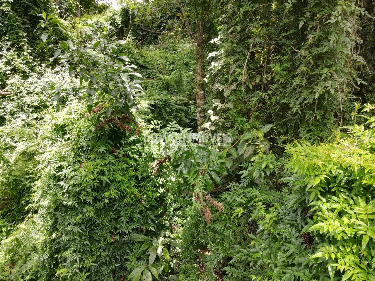 Plot for sale of 1,950 m² in Campos do Jordão, SP, Brazil