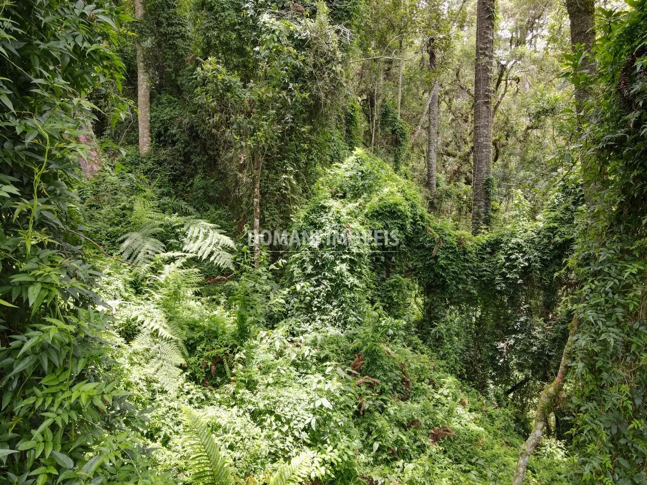 Plot for sale of 1,950 m² in Campos do Jordão, SP, Brazil