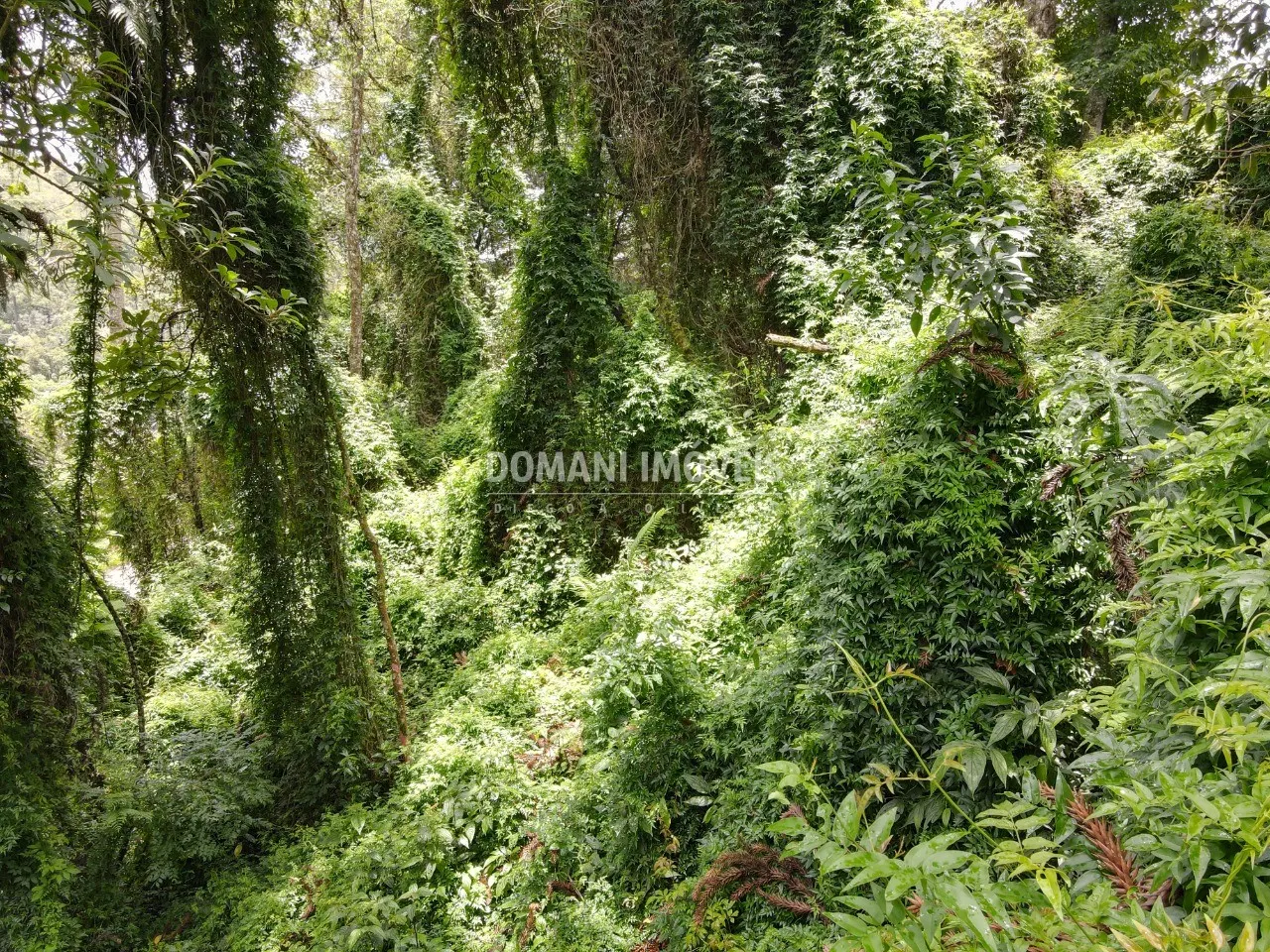 Plot for sale of 1,950 m² in Campos do Jordão, SP, Brazil