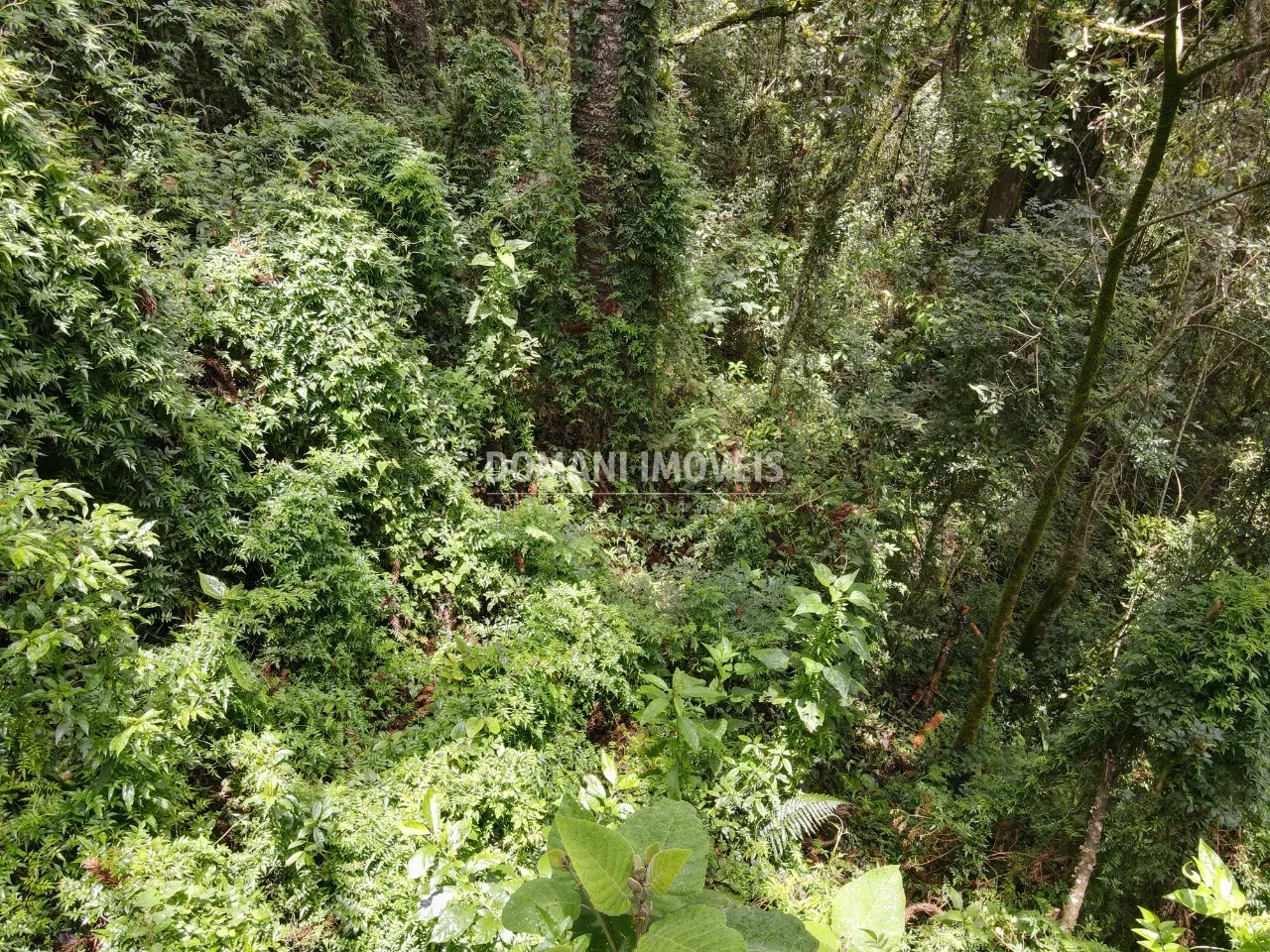 Plot for sale of 1,950 m² in Campos do Jordão, SP, Brazil