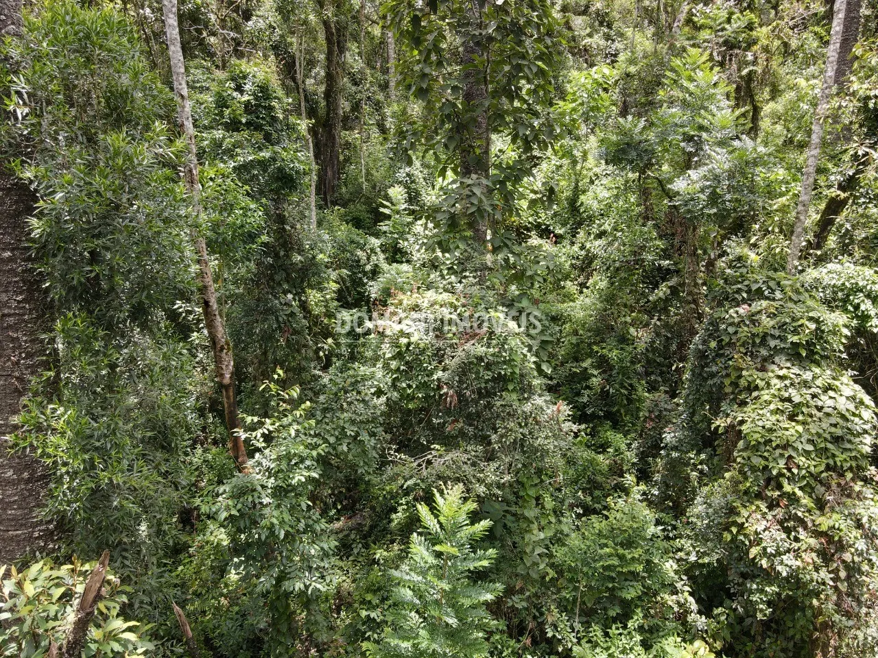Plot for sale of 1,950 m² in Campos do Jordão, SP, Brazil