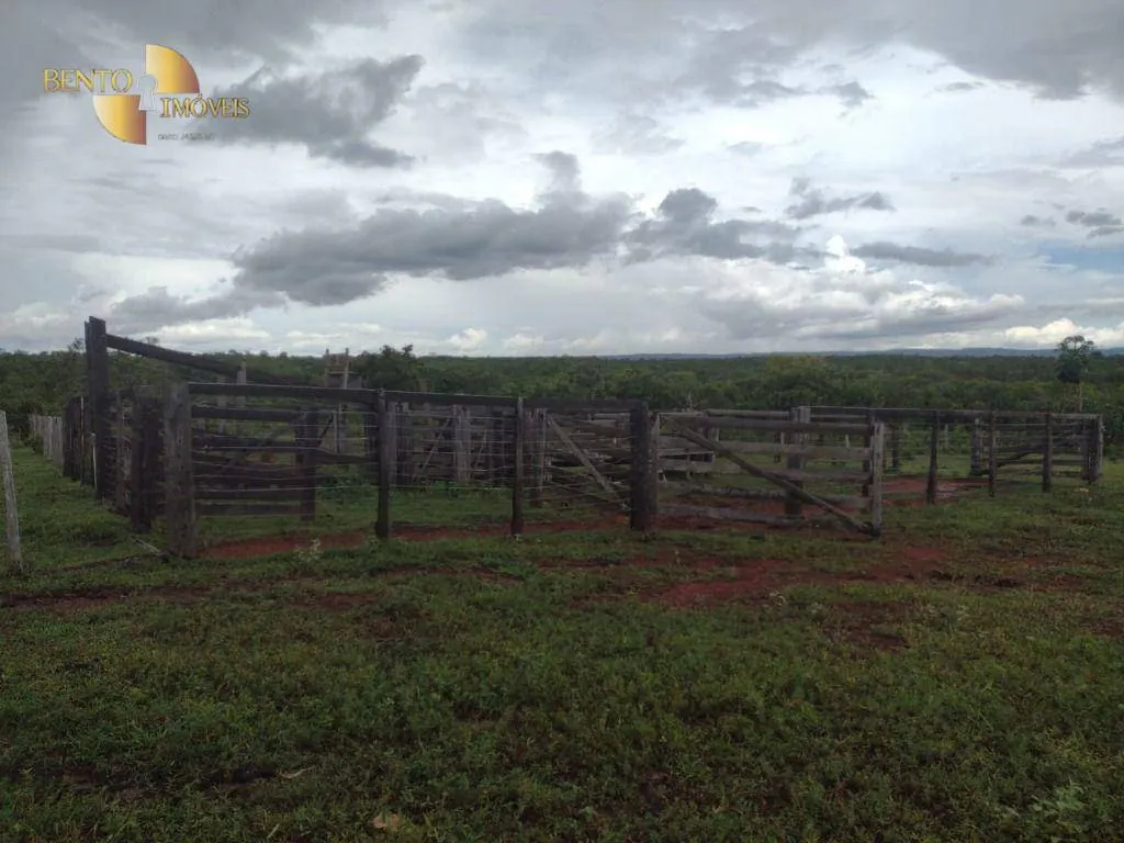 Fazenda à venda de 434 ha em Guiratinga, MT, Brasil