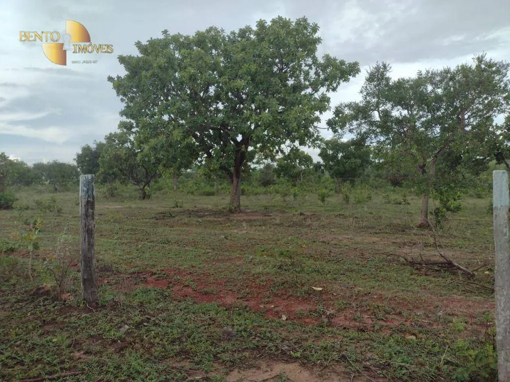 Fazenda à venda de 434 ha em Guiratinga, MT, Brasil