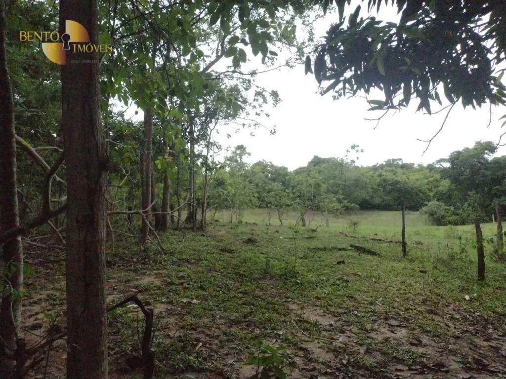 Fazenda à venda de 434 ha em Guiratinga, MT, Brasil