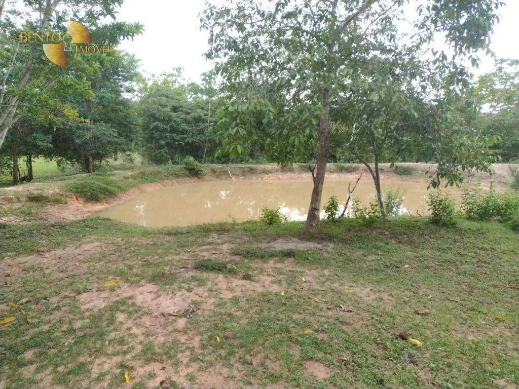 Fazenda à venda de 434 ha em Guiratinga, MT, Brasil