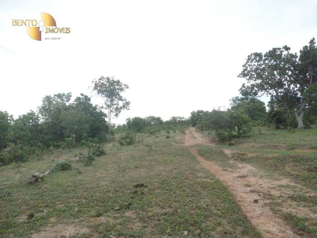 Fazenda à venda de 434 ha em Guiratinga, MT, Brasil