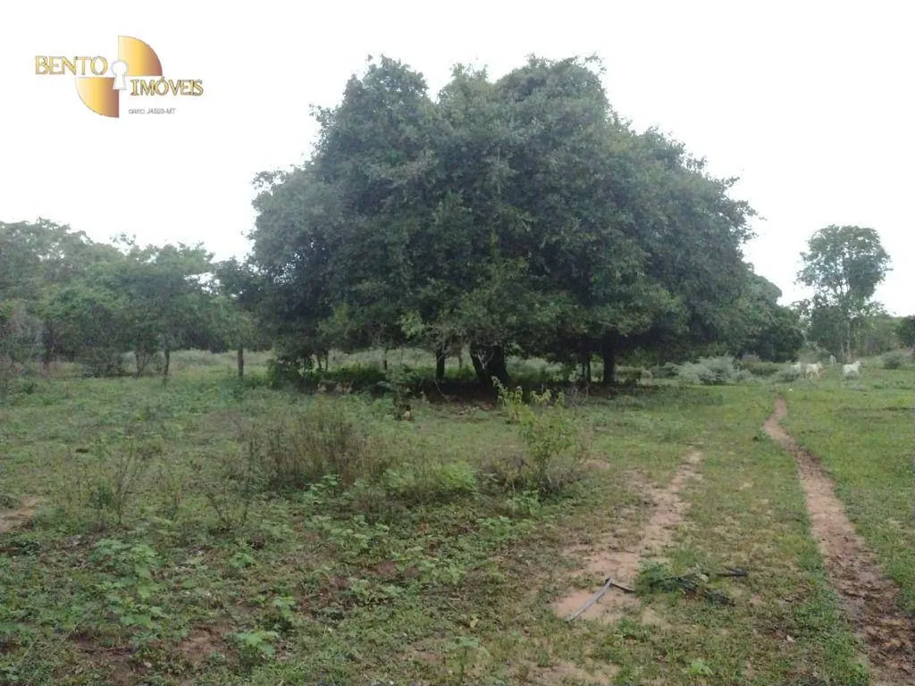 Fazenda à venda de 434 ha em Guiratinga, MT, Brasil