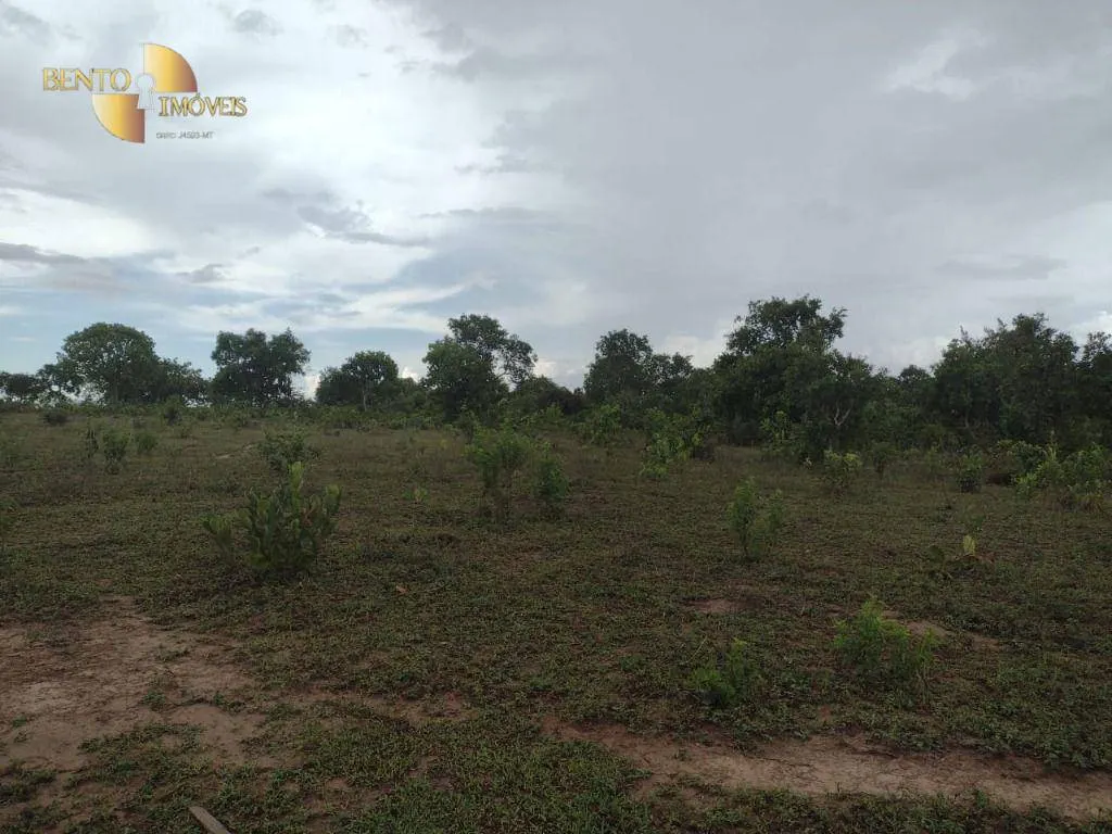 Fazenda à venda de 434 ha em Guiratinga, MT, Brasil