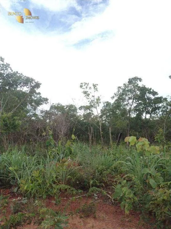 Fazenda à venda de 434 ha em Guiratinga, MT, Brasil