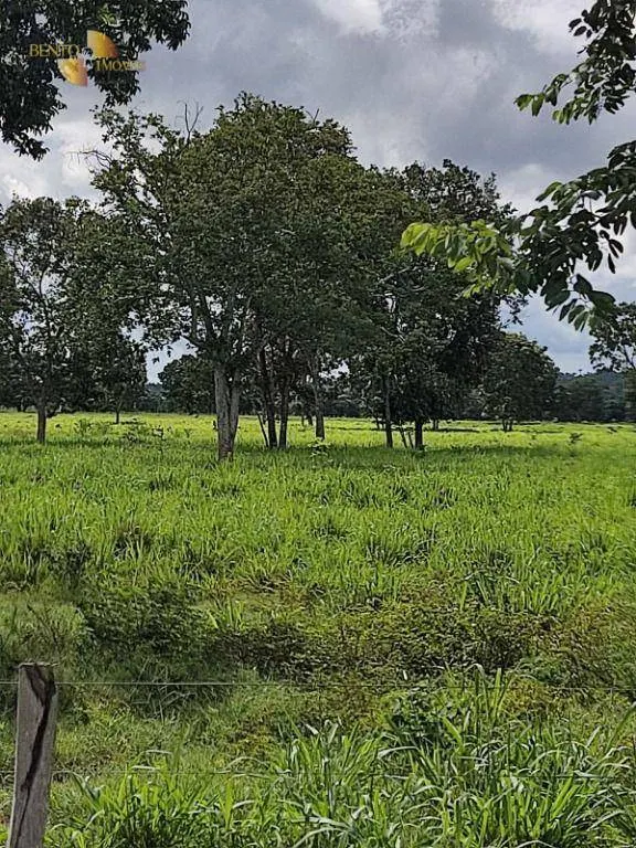 Farm for sale of 914 acres in Poconé, MT, Brazil