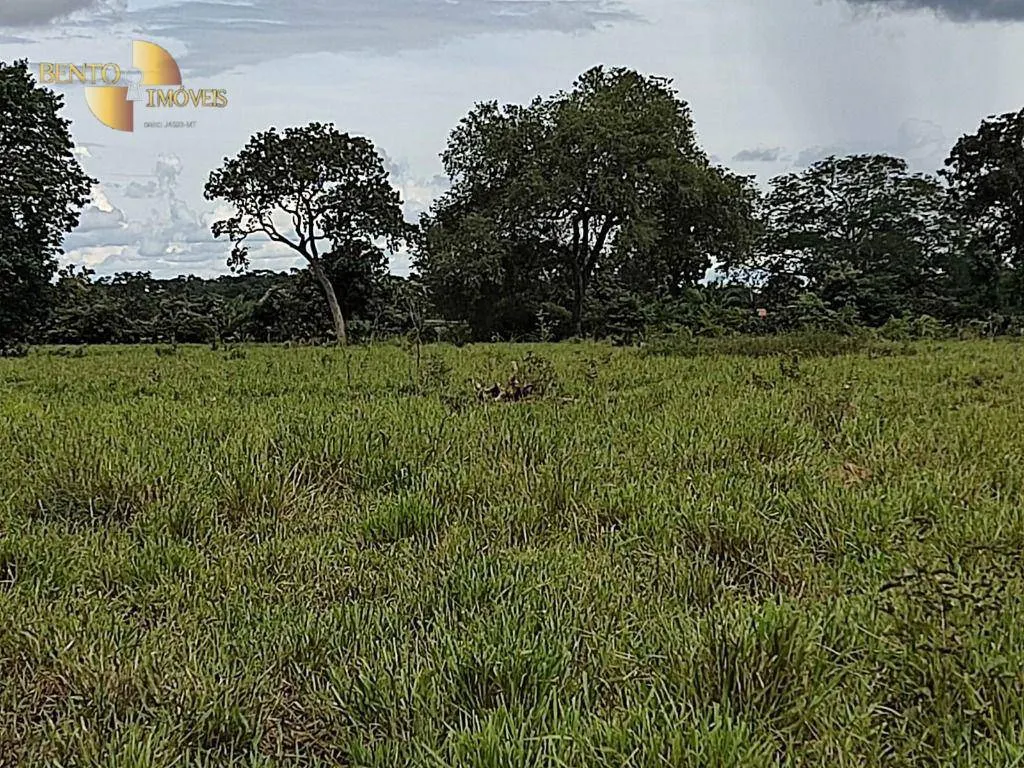 Farm for sale of 914 acres in Poconé, MT, Brazil
