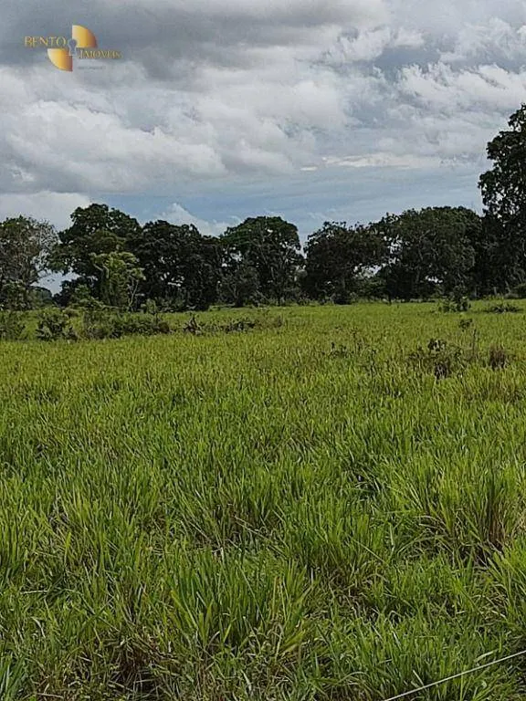 Farm for sale of 914 acres in Poconé, MT, Brazil