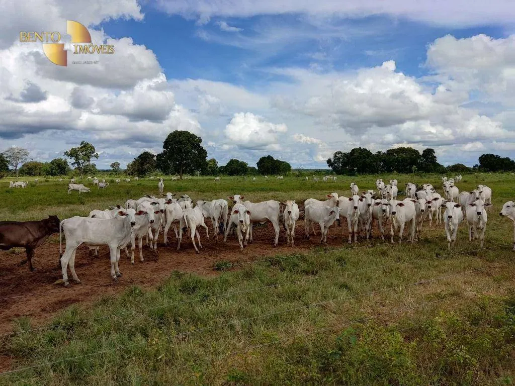 Farm for sale of 914 acres in Poconé, MT, Brazil