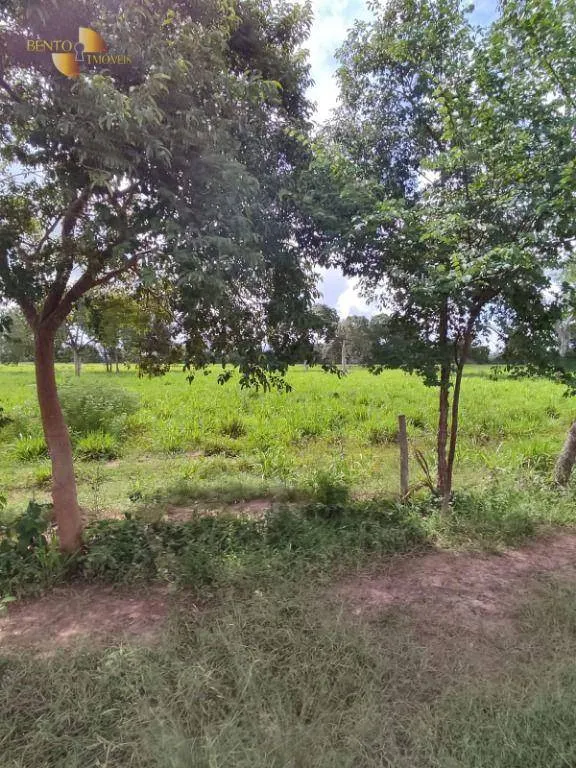 Farm for sale of 914 acres in Poconé, MT, Brazil