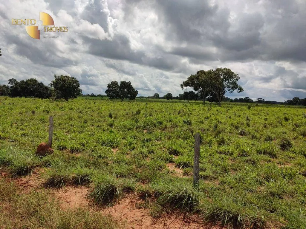 Farm for sale of 914 acres in Poconé, MT, Brazil