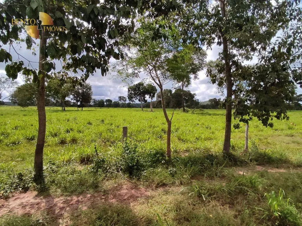 Farm for sale of 914 acres in Poconé, MT, Brazil